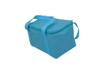 Cooler Bag