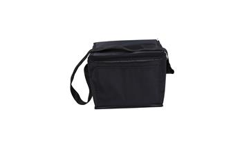 Cooler Bag