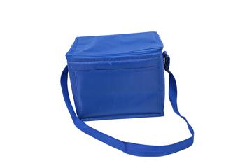 Cooler Bag